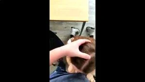 Watch from 0:04:04