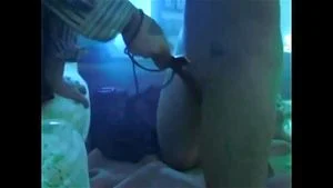 Watch from 0:00:31