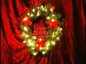 Danni.com - 12 Days of Christmas