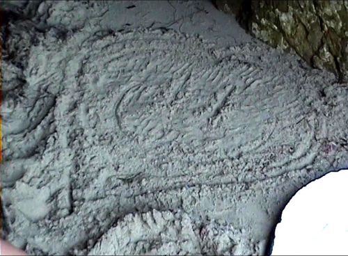 kere sweats nip slip