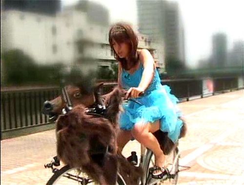 Watch dildo bike - Bike, Bike Dildo, Dildo Bike Porn - SpankBang