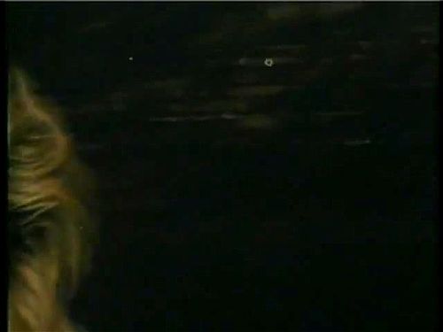 1986 Classic - With Love From Ginger Lynn: Blowjob, Doggy & Cowgirl Porn - SpankBang