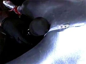 Watch from 0:02:39