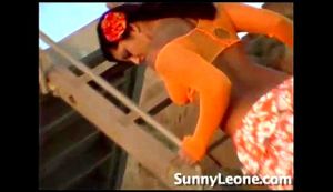 sunny サムネイル