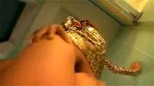 Watch from 0:05:41