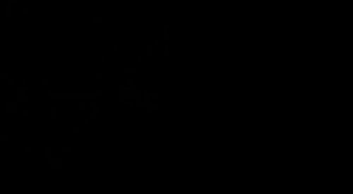 Xx porn video – newasian9