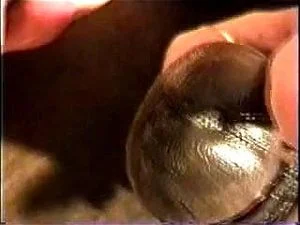 Watch from 0:33:49