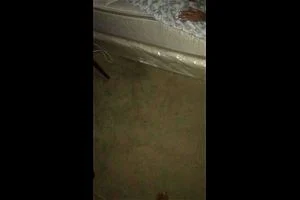 Watch from 0:08:02