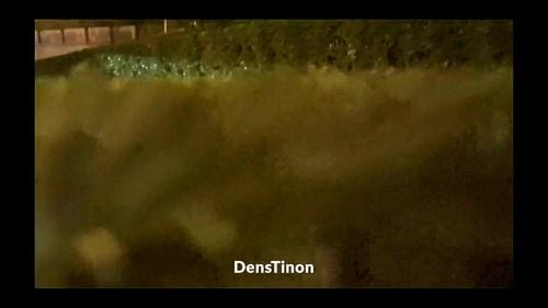 denstion