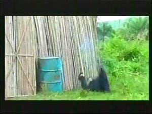Watch from 0:03:27