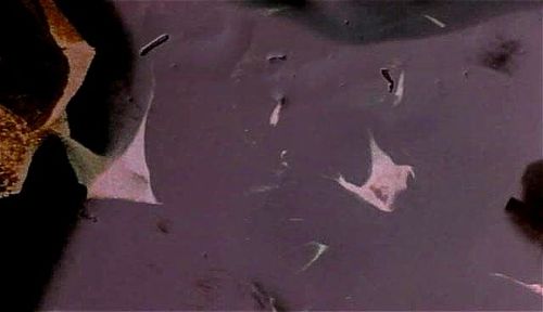 Sex freaks (1974) Video Porno - SpankBang