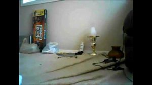 Watch from 0:08:09