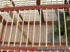 Watch from 0:22:19