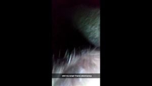 POV Doggy thumbnail