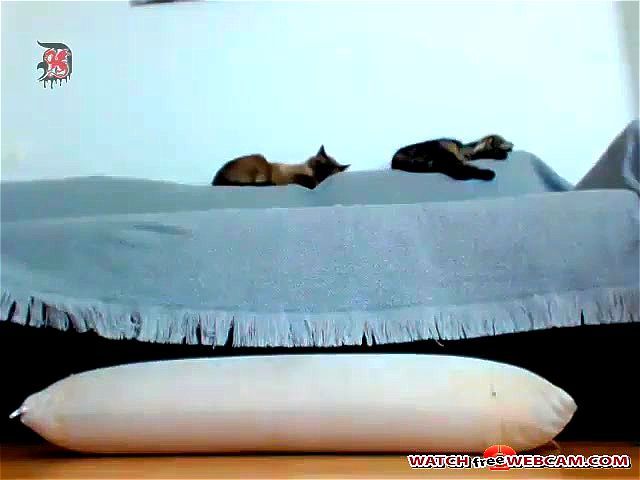 Sweetgirl double toys anal free sex cam Sweetgirl double toys anal free sex cam