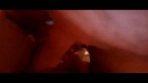 Watch from 0:01:35