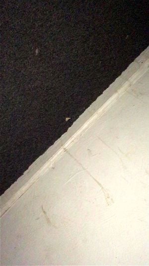Watch from 0:00:13