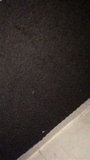 Watch from 0:00:27
