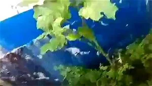 Watch from 0:01:30