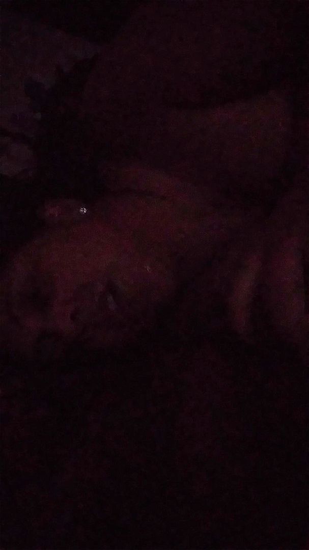 Sucking dick in the dark