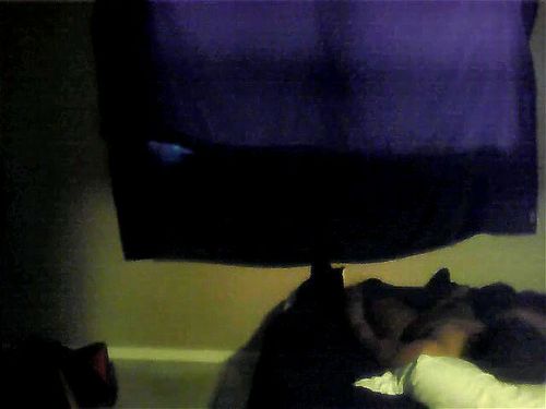 BBW Facesitting Porn - SpankBang