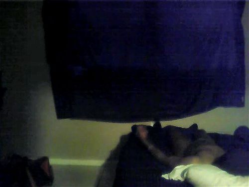BBW Facesitting Porn - SpankBang