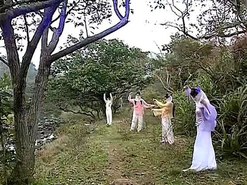 Funny Chinese Porn