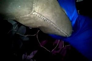 Watch from 0:05:03