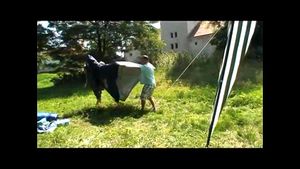 Watch from 0:02:33