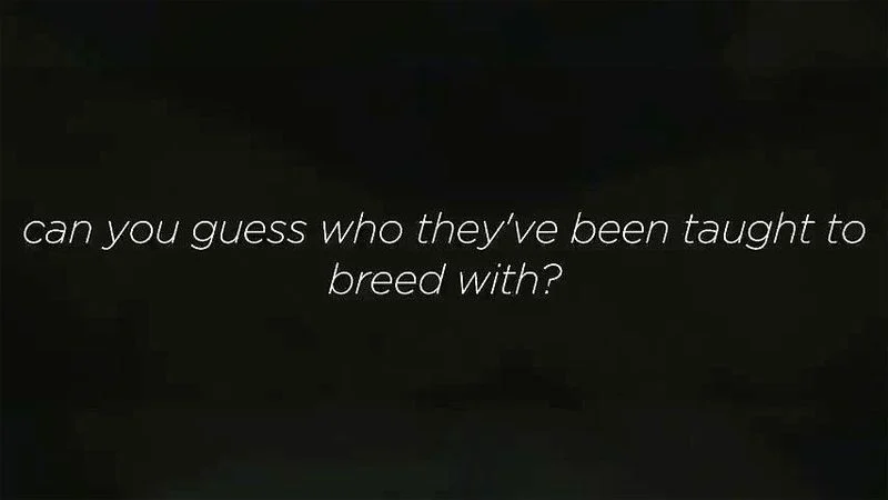 bbc hotwife bbc hotwife