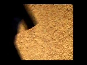 fami thumbnail