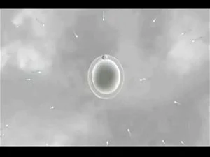 Watch from 0:08:19