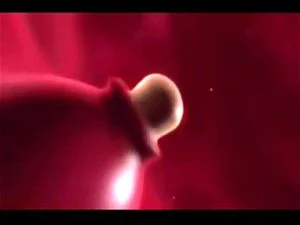 Watch from 0:06:39