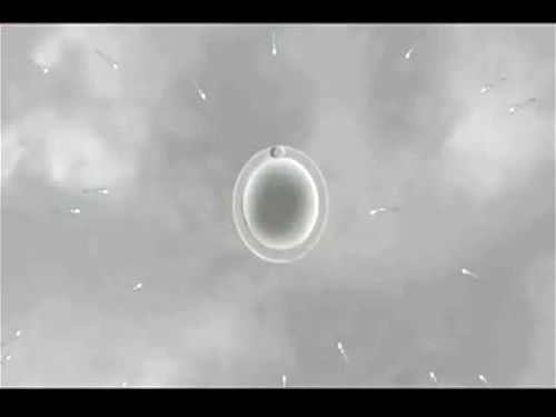 Rikka Impregnation Video Porno - SpankBang