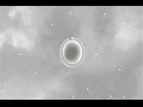 Impregnation fantasy compilation, no birth control