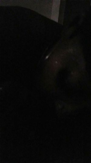 Watch from 0:06:19
