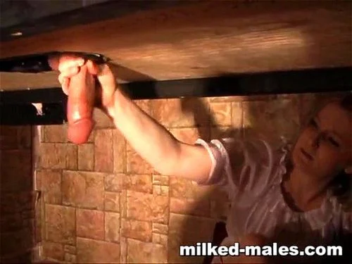 Milking thumbnail