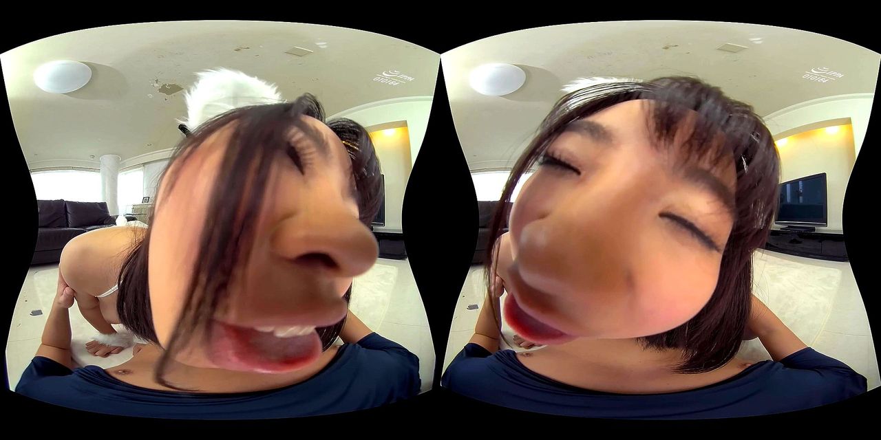 vr kittens