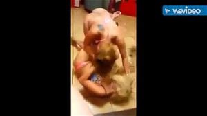 Naked Stripper Catfight