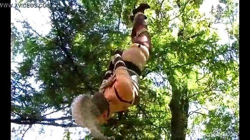 bondage, babe, tree, tied