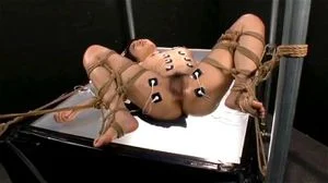 hogtied thumbnail