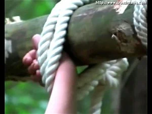 Watch from 0:16:31