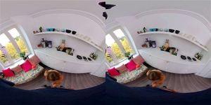 STELLA CARDO VR thumbnail