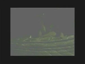 Watch from 0:07:49