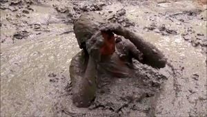 Wet and Muddy thumbnail