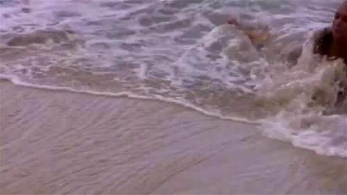 Vocations Tropical 4