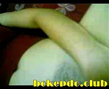 amatiran lokal amatiran lokal