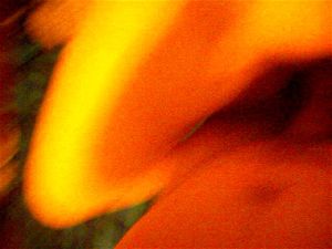 Ab 0:00:17 ansehen