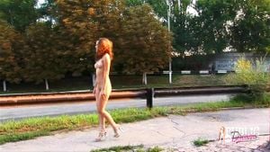 Various Public Nudity thumbnail