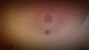 Watch from 0:00:33